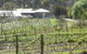 Eureka Farm - thumb 0