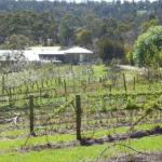 Eureka Farm - Australian Directory 0