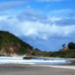Cara Nobbys Beach 11 Wesley Avenue - Australian Directory 1