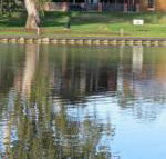 Wentworth Wharf B  B - Australian Directory
