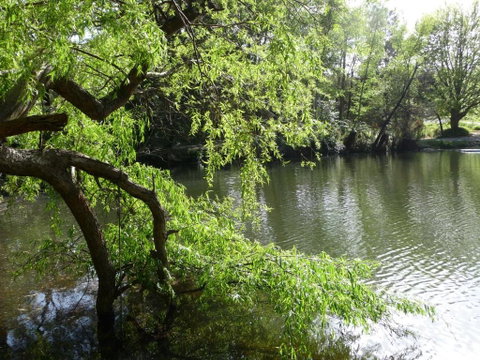 Lakeview On Sycamore - Australian Directory 1