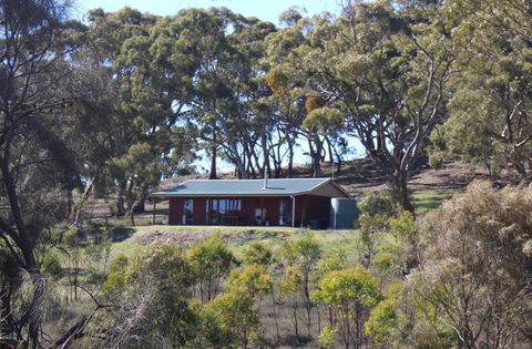 Mollys Chase - Australian Directory 2