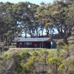 Mollys Chase - Australian Directory 0