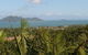 Stus Lookout - thumb 0