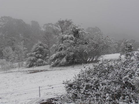 Springmead Rustic Cabin - Australian Directory 6
