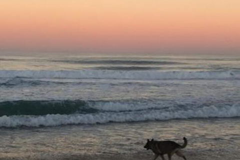 Ginaâ€˜s Place - Australian Directory 4