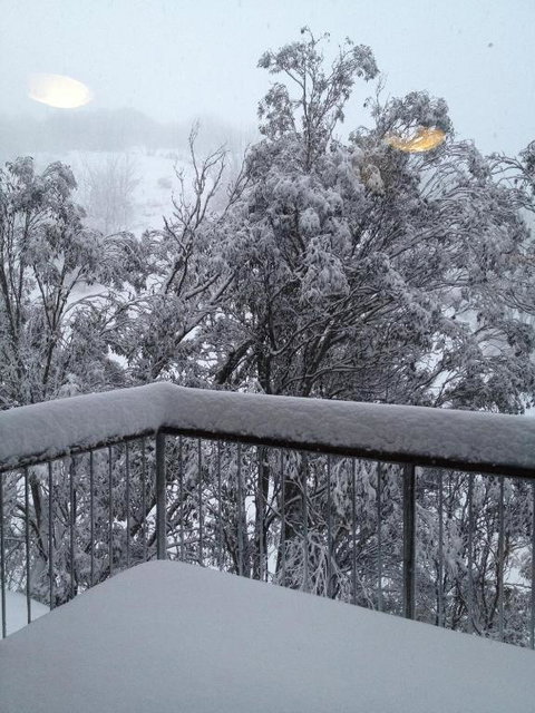 Maisonette Falls Creek - Australian Directory 1