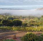 Pecan Hill BNB - Australian Directory