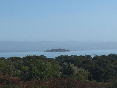 Tidal Dreaming Seaview Cottages - Australian Directory 4