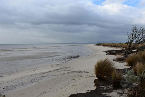 Tidal Dreaming Seaview Cottages - Australian Directory 6