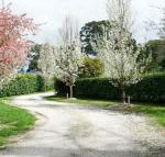 Robin Hill Manor rambling retreat  tennis court - Australian Directory