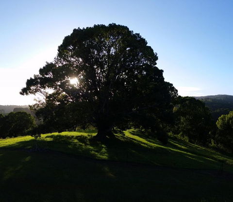 Valleydale Cottage - Australian Directory 1