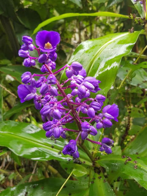Valleydale Cottage - Australian Directory 4