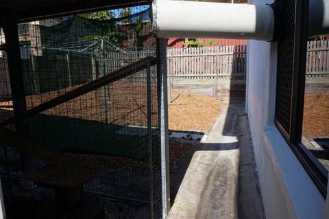 2 29 Rumbalara Avenue Rainbow Beach Bring Your Dog Or Your Cat Or Bring Both Free Wi Fi - Australian Directory 5