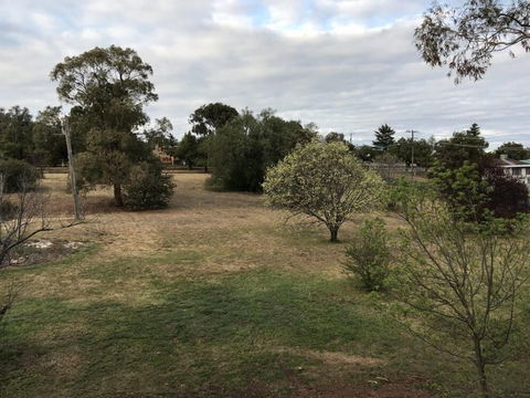 Young Budget Accommodation - Australian Directory 0