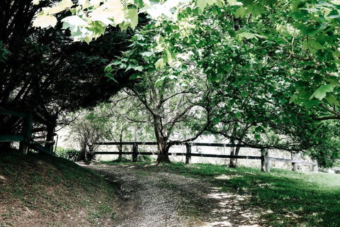 Braebrook Stunning Farm House! - Australian Directory 3