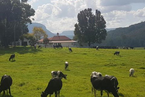 Glenmurray Country Farm Stay! - Australian Directory 0