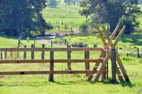Glenmurray Country Farm Stay! - Australian Directory 4