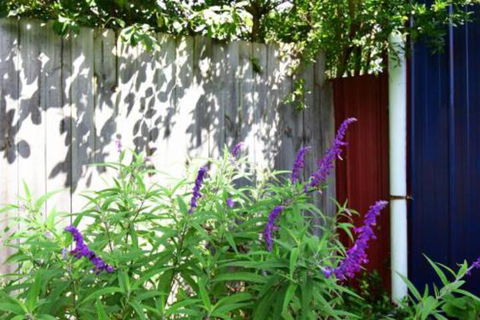 Lulu Hill Cottage Kangaroo Valley - Australian Directory 7