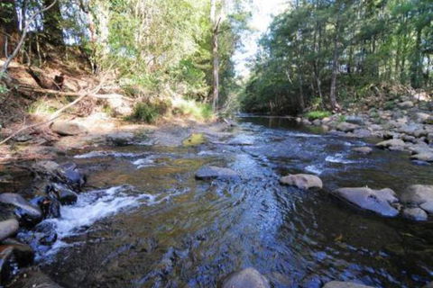 Willabrook Retreat Rest Cottage Spoil Yourself! - Australian Directory 7