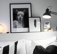 105flora Cozy Stay Prahran Lively Neighbour - Australian Directory
