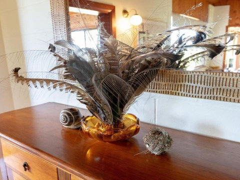 Captains Lookout Elevated Ocean Views Rural Stay - Australian Directory 4