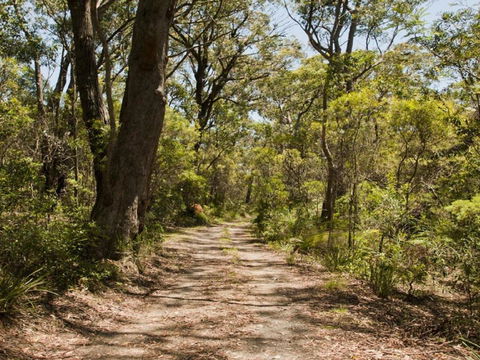Riverbend 5 Acres Only 9km To Village - Australian Directory 3