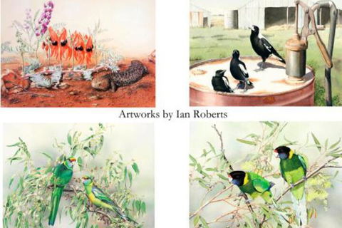 Windmill Cottage - Australian Directory 3