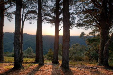 BIMBADEEN On BUSTY Â· BIMBADEEN On BUSTY Spectacular Views & Wifi - Australian Directory 4