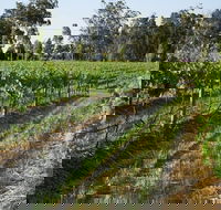 Renovated Cottage Aberdare Hunter Valley - Australian Directory