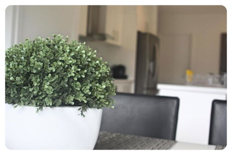 The Shae Luka Private Apartment - Australian Directory 5