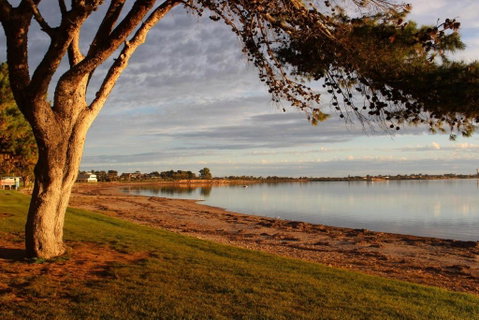 Ceduna Foreshore Caravan Park - Australian Directory 5