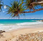 Coolum Classic Beach Shack Pet Friendly - Australian Directory