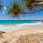 Coolum Classic Beach Shack Pet Friendly - Australian Directory 0
