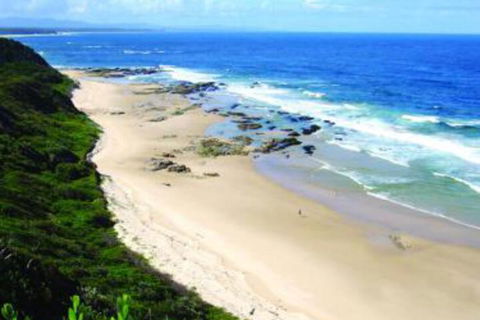 Pacific Studio Nambucca Heads - Australian Directory 4