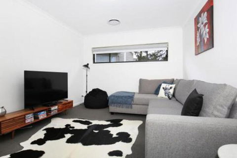 Rockwall Pet Friendly Fire Pit - Australian Directory 4