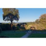 Ripplebrook Cottage - Australian Directory 0