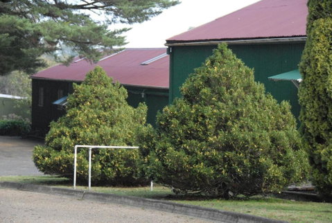Toolebewang Farm Cottage - Australian Directory 2