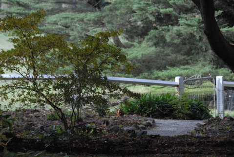 Toolebewang Farm Cottage - Australian Directory 4