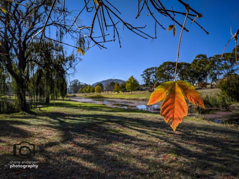 Dillons Cottage - Australian Directory 4