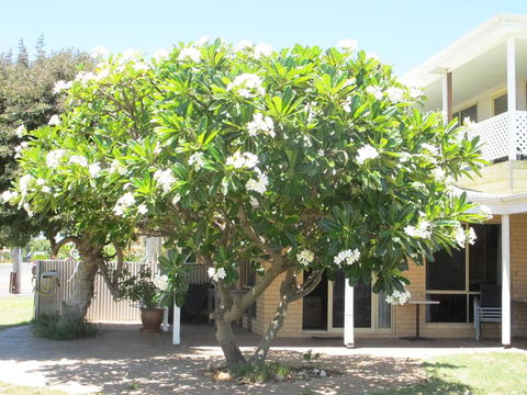 Kalbarri Riverfront Unit - Australian Directory 3