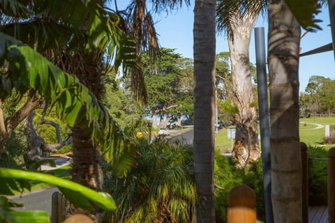 SAILS TWO INVERLOCH - Australian Directory 5