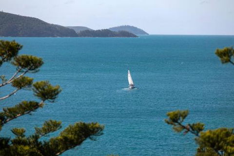NEW Northcape 1 Ocean Front 2 Bedroom Choose Between 2 Properties - Australian Directory 2