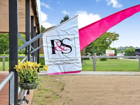 Misty Creek Of Robertson Proximity & Privacy - Australian Directory 3