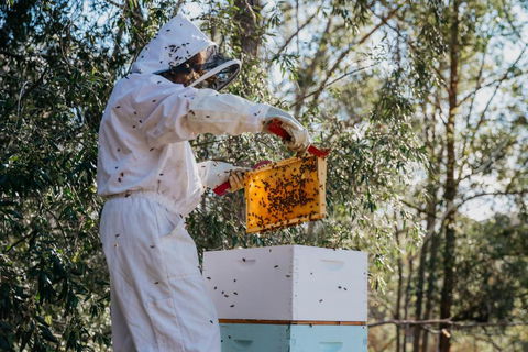 Capers Guesthouse Barn & Cottage - Australian Directory 1