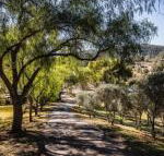 Capers Guesthouse Barn  Cottage - Australian Directory