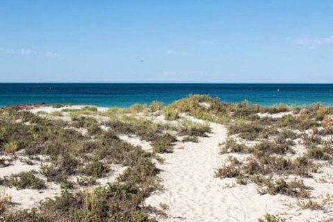 Salty Dayz - Australian Directory 3