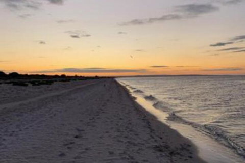 Salty Dayz - Australian Directory 5