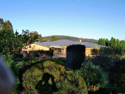 Altitude221 - Australian Directory 0