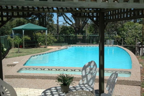The Tree Motel - Australian Directory 5